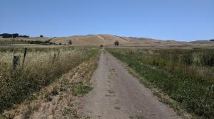 Towards the ridge