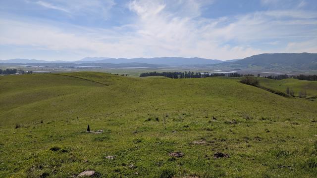 Petaluma Marsh Vista