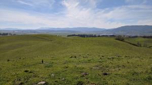 Petaluma Marsh Vista