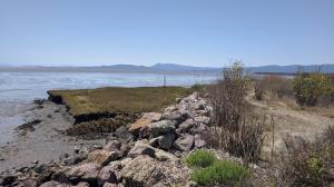 San Pablo Bay