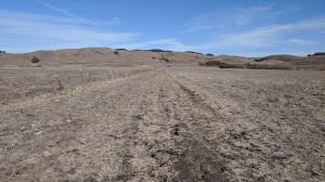 Pond Trail