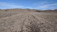 Pond Trail