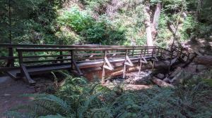 Log Bridge