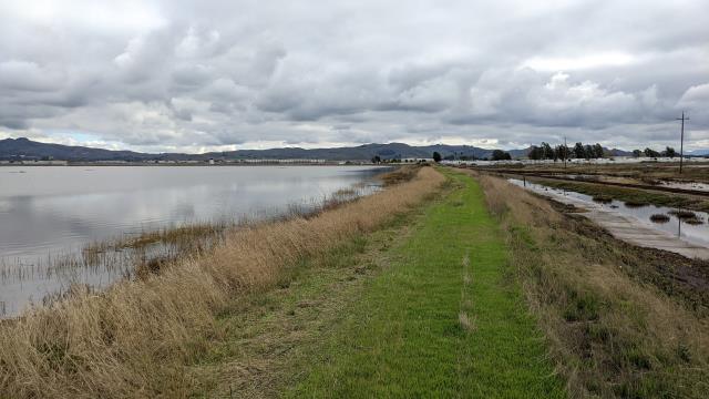 Fagan Marsh Trail