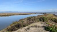 South Slough
