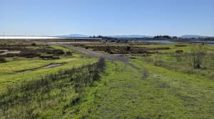 Green Island Overlook