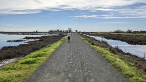 Trail View