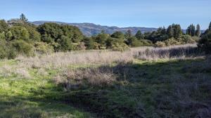 View off of Orchard Trail