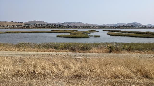 American Canyon
