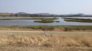 American Canyon