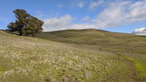 Meandering route