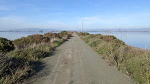 Trail View