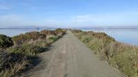 The Cullinan Ranch Trail sits on the line between the San Pablo Bay NWR on the right and the Napa-Sonoma Marshes WA on the left.