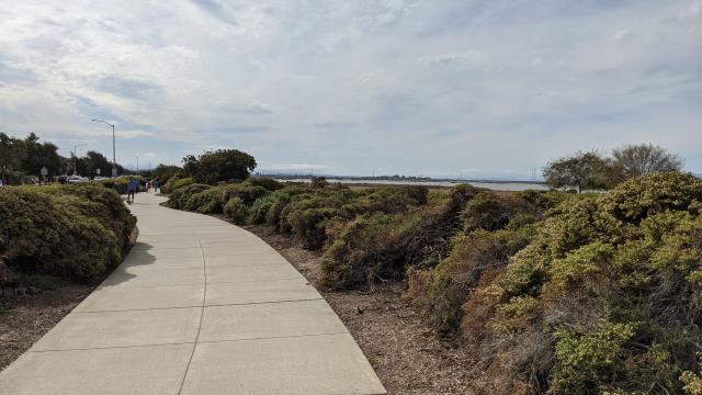 Trail View