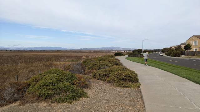 Two sides of the trail