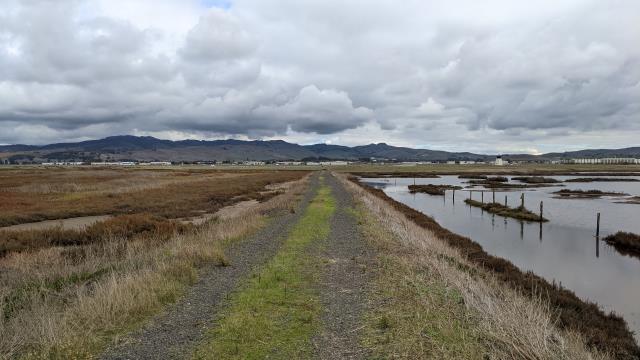 Productive Marshes