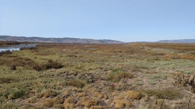 Ringstrom Unit