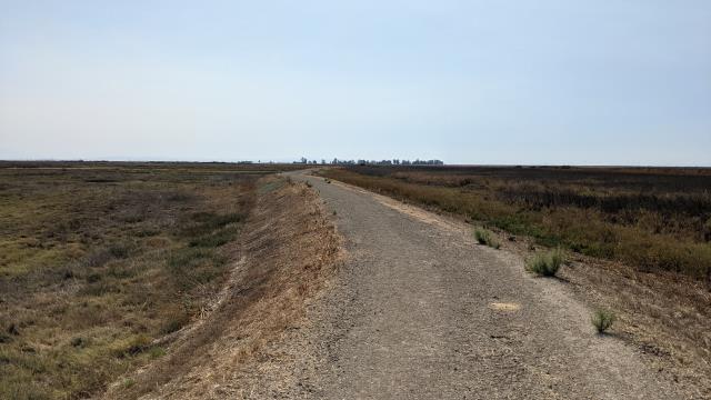 Treeless