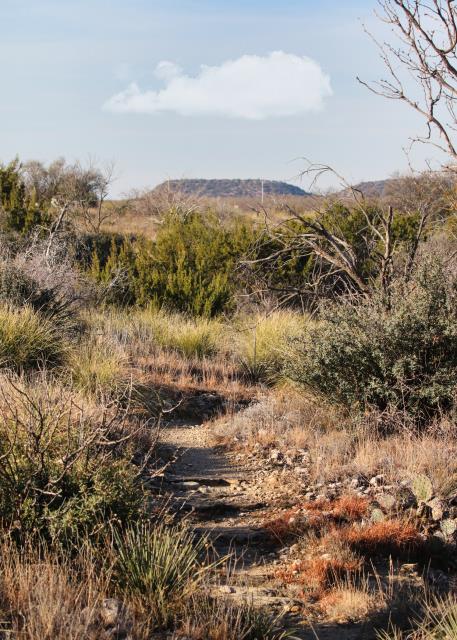Playground Trail