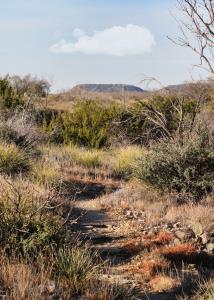 Playground Trail