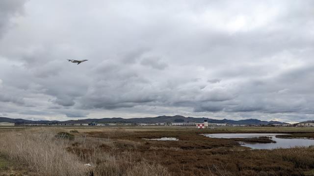 Taking Flight - Not Birds