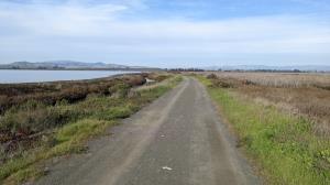 Wetlands and marsh