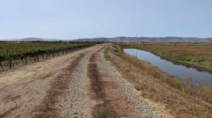 Vineyard