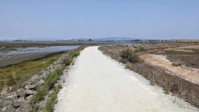 Marshes