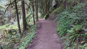 Trail View