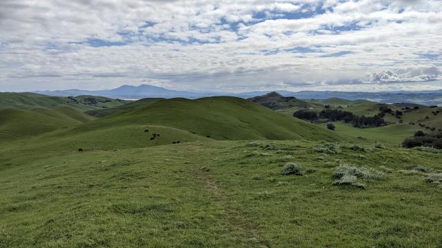 Mount Diablo