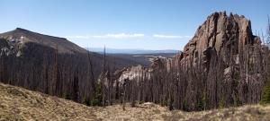 View from the loop