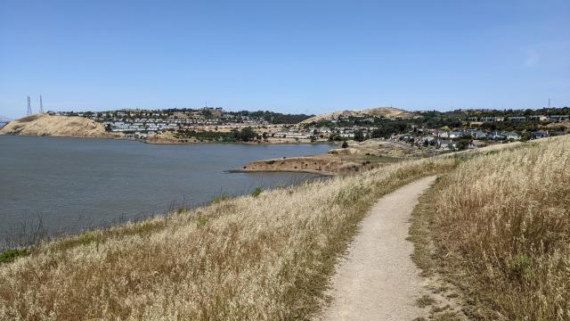 Shoreline