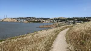 Shoreline