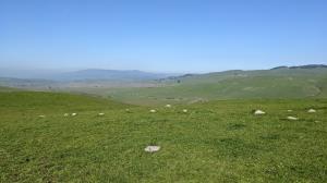 Tolay Lake