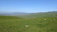 Tolay Lake