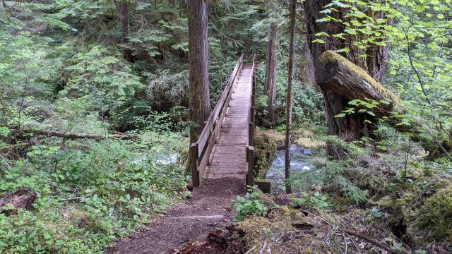 Bridge Crossing
