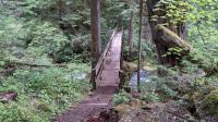 Bridge Crossing