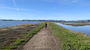 Trail View