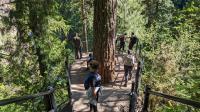 Viewing platform