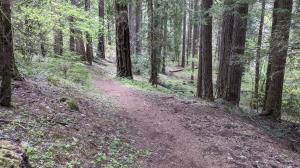 Trail View
