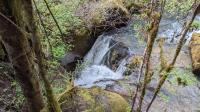 Top of the falls