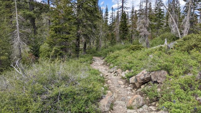 Trail View