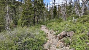 Trail View