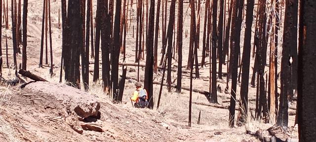 2013 Fire
