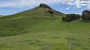 Summit vegetation