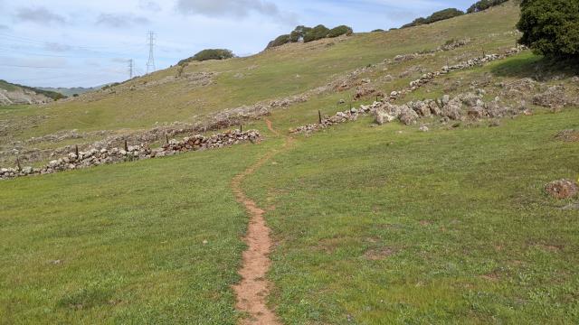 Trail View