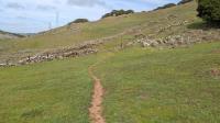 Trail View
