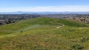 Vallejo and beyond