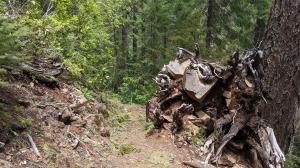 Fallen giant