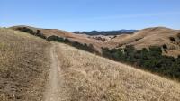 Rolling hills